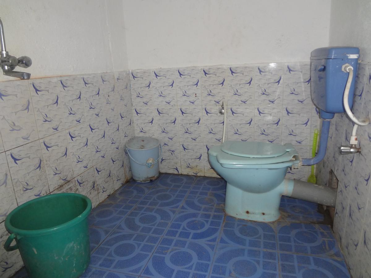 Silent Resort Mandrem Ngoại thất bức ảnh