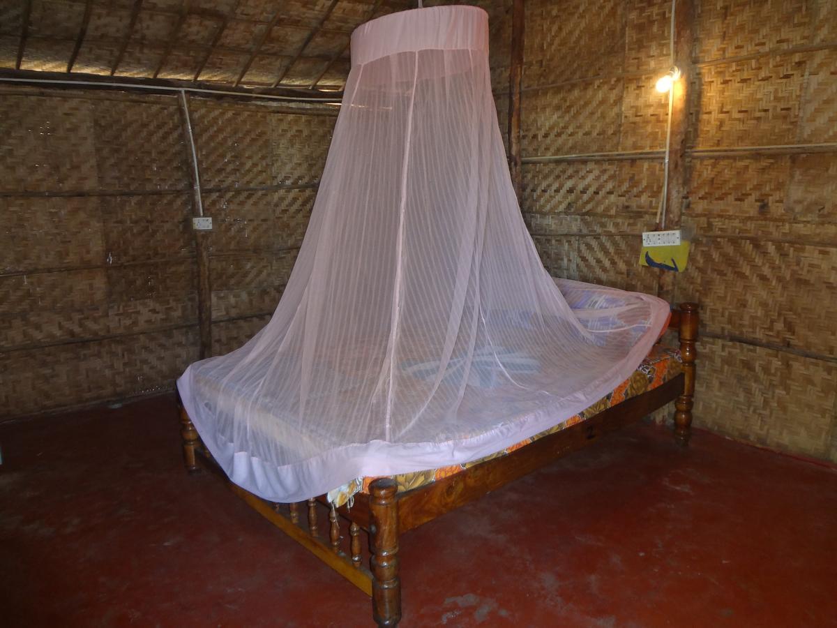 Silent Resort Mandrem Ngoại thất bức ảnh