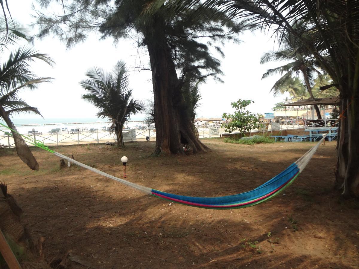 Silent Resort Mandrem Ngoại thất bức ảnh