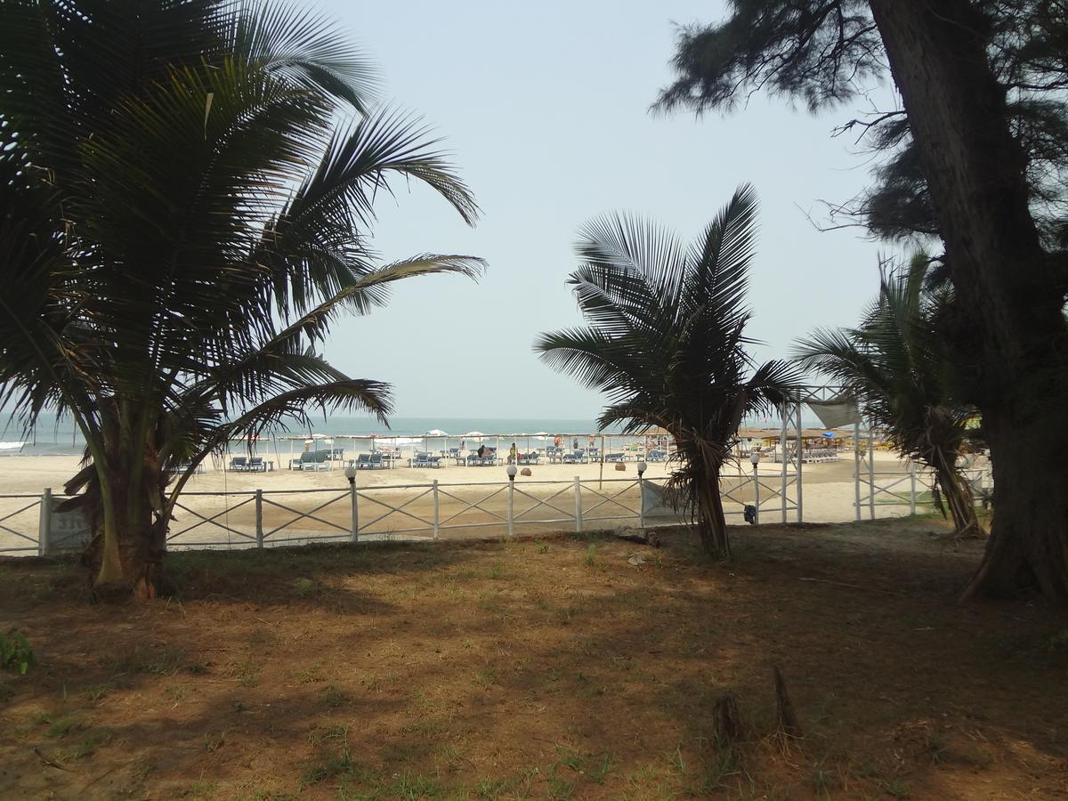 Silent Resort Mandrem Ngoại thất bức ảnh
